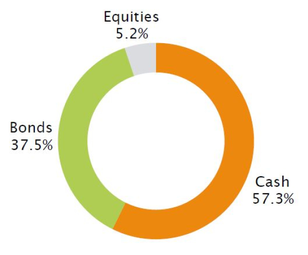 Average fund allocation over 2008