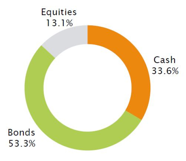 Average fund allocation over 2011