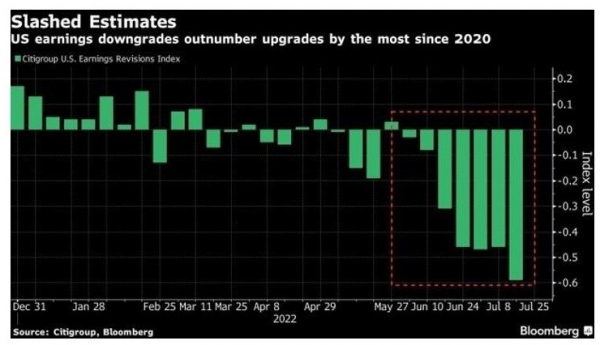 Downward revision to earnings growth expectations