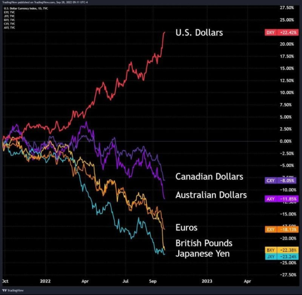 Mighty dollar 