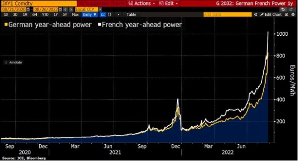 One-year ahead power futures in France and Germany