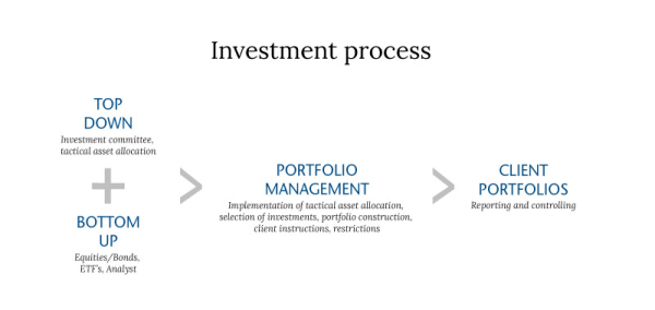 SSA investment process